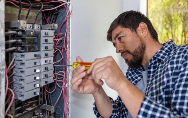 Best Home Electrical Repair  in Valdez, AK